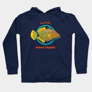 Undulate Triggerfish Hoodie